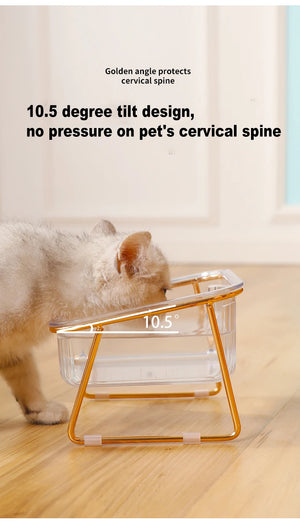 Raised double bowl feeder for cats and dogs