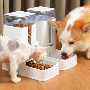 2-in-1 automatic feeder and water dispenser for dogs and cats