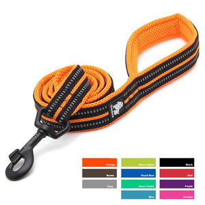 Truelove Reflective Mesh Dog Leash: Padded Comfort & Safety - GoPoofy