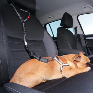 Elastic reflective nylon car seatbelt leash for dogs