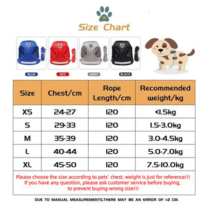 Reflective mesh harness and lead set for cats and small dogs