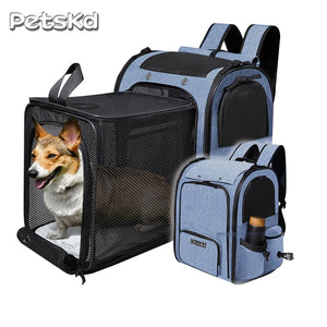 Expandable mesh backpack pet carrier for cats and small dogs
