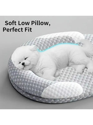 Machine washable dog bed for year-round comfort