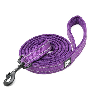 Truelove reflective mesh dog leash — available colors and sizes