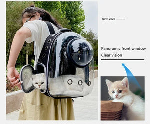 Transparent bubble backpack pet carrier for cats and small dogs