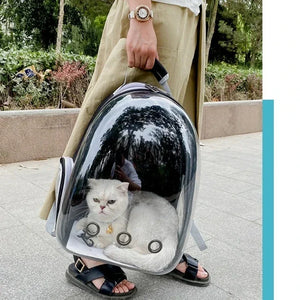 Transparent bubble backpack pet carrier for cats and small dogs