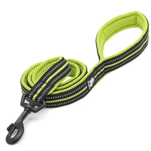 Truelove reflective mesh dog leash in Gray