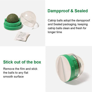 NipNook Catnip Wall Balls - GoPoofy