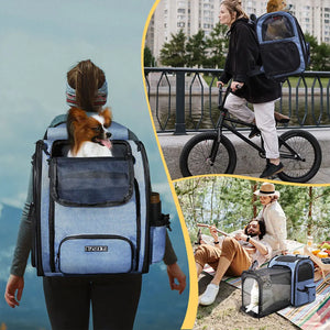 Expandable mesh backpack pet carrier for cats and small dogs