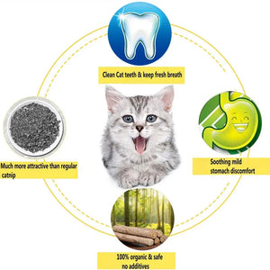 Natural matatabi silvervine chew sticks for cats