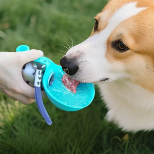 Stainless steel dog water bottle with built-in silicone bowl