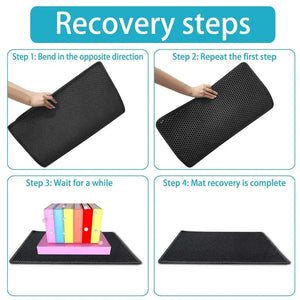 Double-layer waterproof litter trapping mat for cats