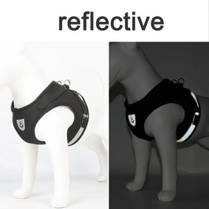 Reflective mesh harness and lead set for cats and small dogs