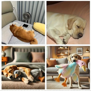 Soft plush duck companion toy for dogs and cats