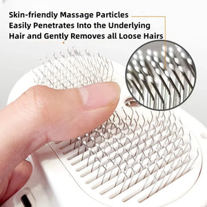 Rechargeable misting grooming comb for dogs and cats
