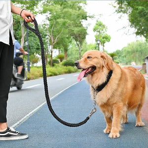 Braided nylon rope leash for medium to large dogs
