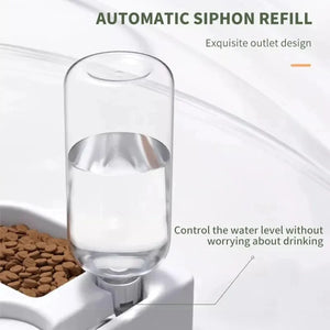 Multi-functional drinking and feeding bowl for dogs and cats