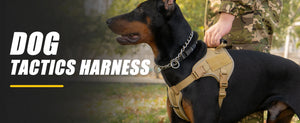 Reflective tactical-style training vest harness for dogs