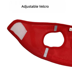 Reflective mesh harness and lead set for cats and small dogs
