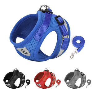 Reflective mesh harness and lead set for cats and small dogs