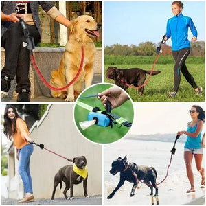 Waterproof zip-lock waste bag dispenser for dogs