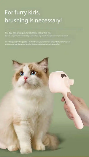 Spray mist grooming comb for cat fur cleaning and massage