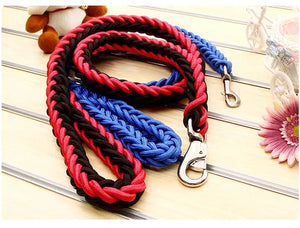 Braided nylon rope leash for medium to large dogs