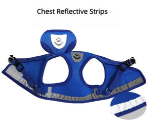 Reflective mesh harness and lead set for cats and small dogs