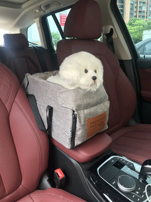 Padded car booster seat with washable cover for small dogs