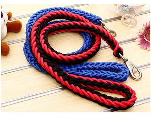 Braided nylon rope leash for medium to large dogs