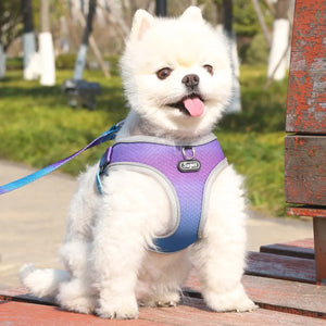 Adjustable reflective step-in vest harness for dogs and cats