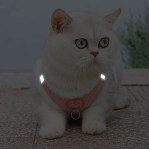CozyPaws Cat Harness - GoPoofy