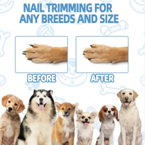 Wooden cat scratching board with built-in treat box