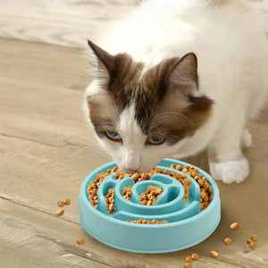 Slow-feeding bowl for dogs and cats to help prevent choking and fast eating