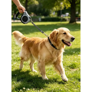 Automatic retractable walking leash for dogs and cats