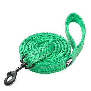 Truelove reflective mesh dog leash — mesh padding close-up