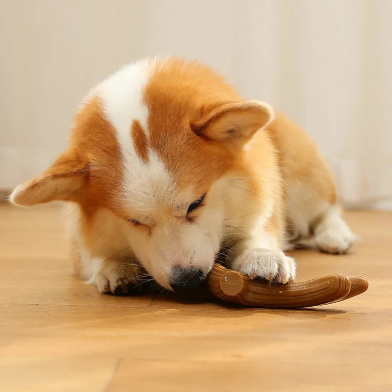 Bamboo dental chew toy for dogs to support teeth cleaning