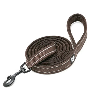 Truelove reflective mesh dog leash — 3M reflective thread close-up