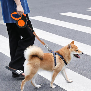 Hands-free reflective dog leash with adjustable waist belt