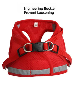 Reflective mesh harness and lead set for cats and small dogs
