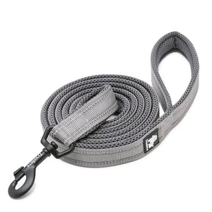 Truelove reflective mesh dog leash in Red