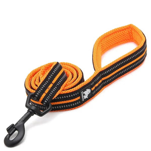 Orange and black dog leash with 'Truelove' branding on a white background