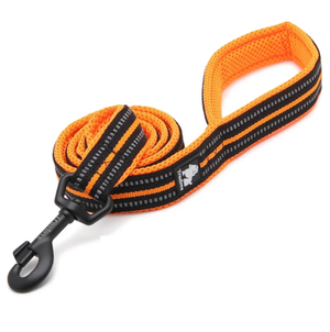 An orange and black reflective dog leash with a black plastic snap hook, shown on a clean white background.