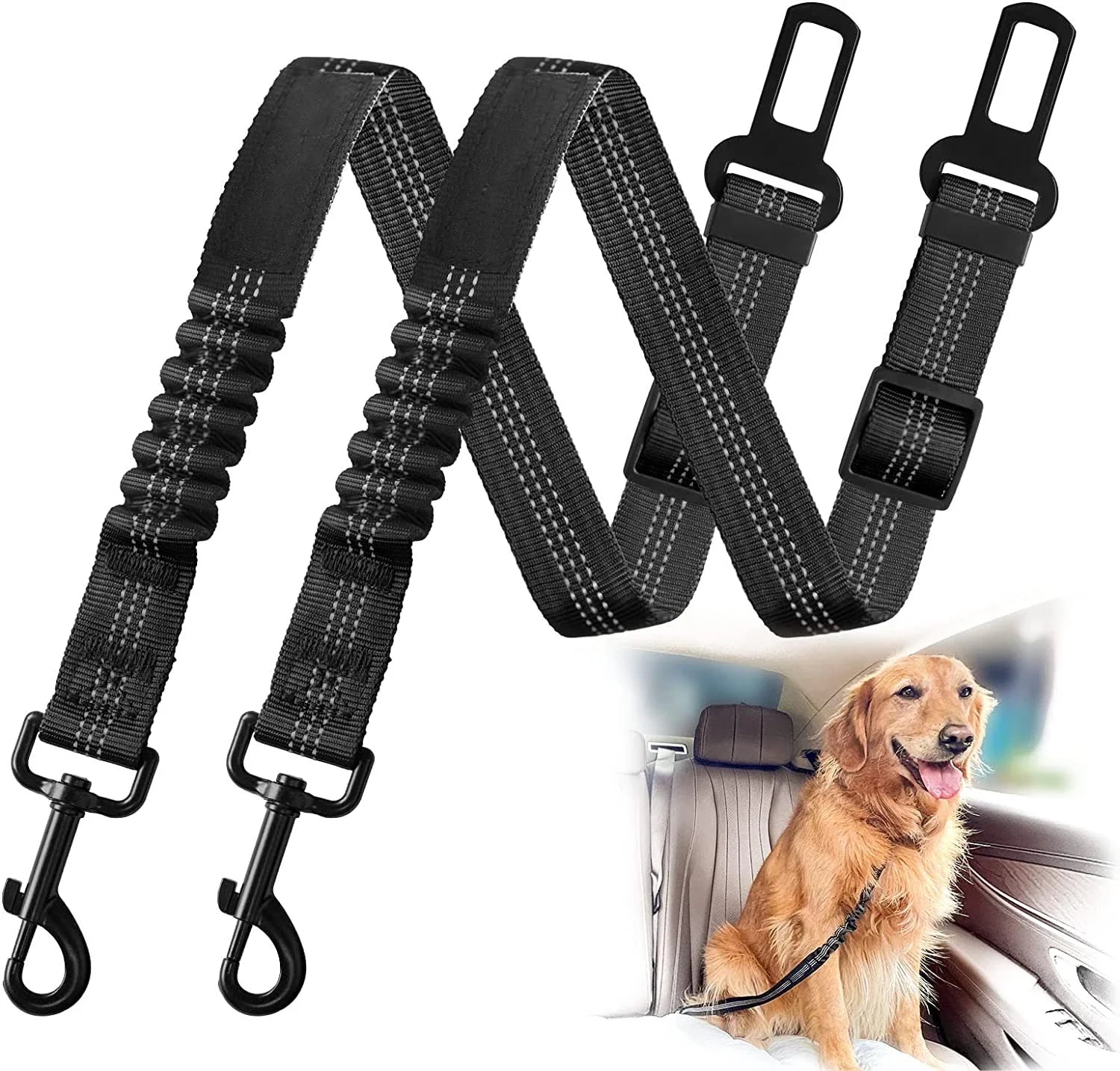 Dog secured with a car seat belt harness in the back seat, looking calm