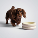 cat-feeder Dog-feeder