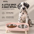 Raised Double Feeder — Stainless Steel Bowls