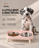 Raised Double Feeder — Stainless Steel Bowls