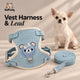 Vest Harness & Lead Set for Small Pets
