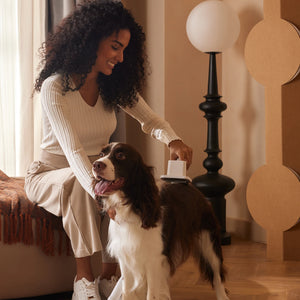 Rechargeable dog grooming kit with hair vacuum and trimming tools