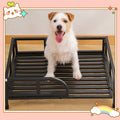 Elevated Dog Bed with Breathable Mesh & Rails